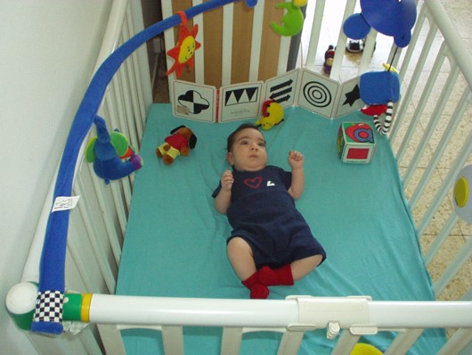 עבודת השורשים שלי: by lirazs - Ourboox.com