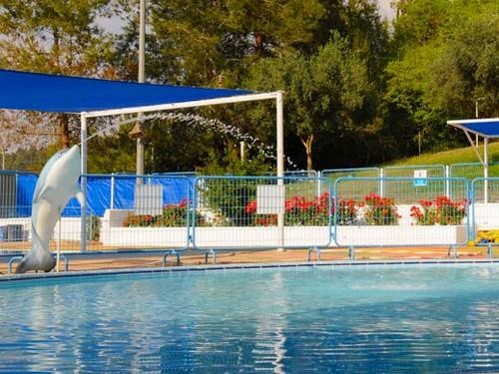 עבודת השורשים שלי: by lirazs - Ourboox.com