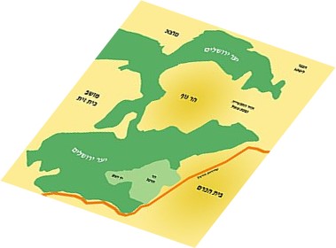 עבודת השורשים שלי: by lirazs - Ourboox.com