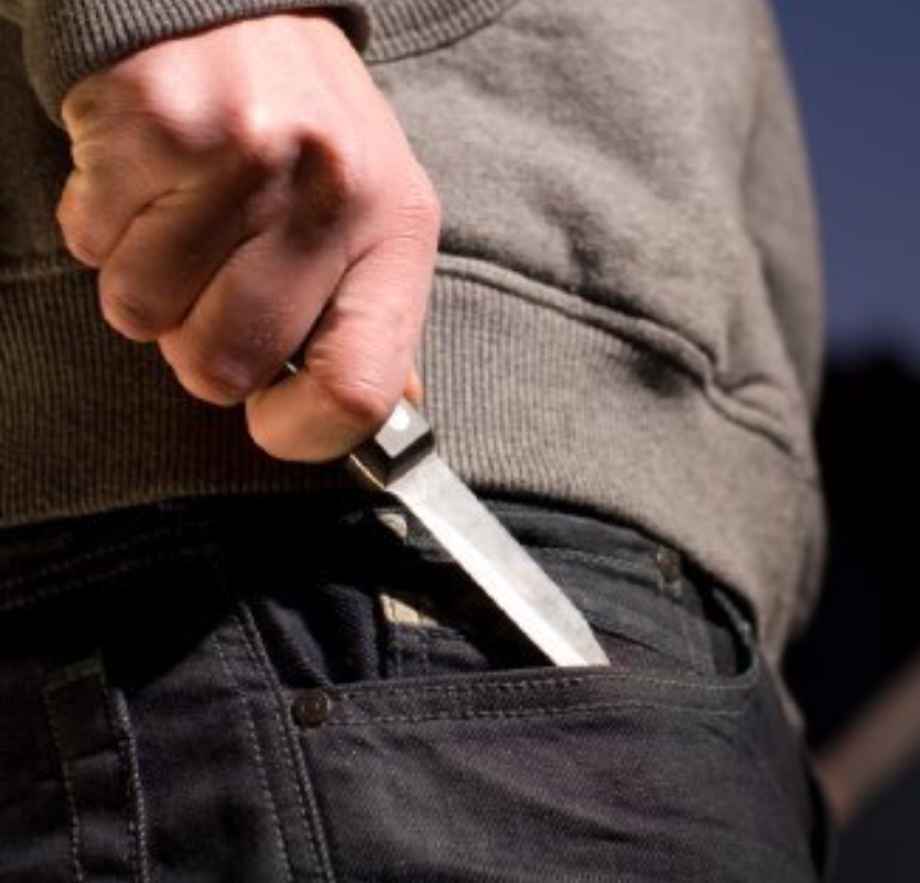 יומנה של אימו של יאנקו by noam abolnik - Ourboox.com