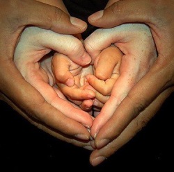 יומנה של אימו של יאנקו by noam abolnik - Ourboox.com