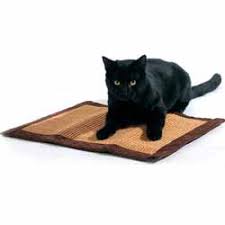 מבט החתול by lion - Illustrated by ליאון,יובל,אלמוג - Ourboox.com