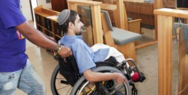 מבט החתול by lion - Illustrated by ליאון,יובל,אלמוג - Ourboox.com