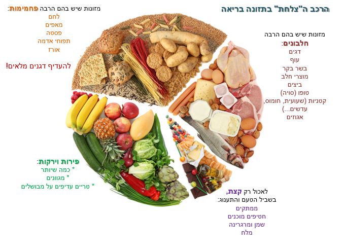 מערכת העיכול by Nomi - Ourboox.com