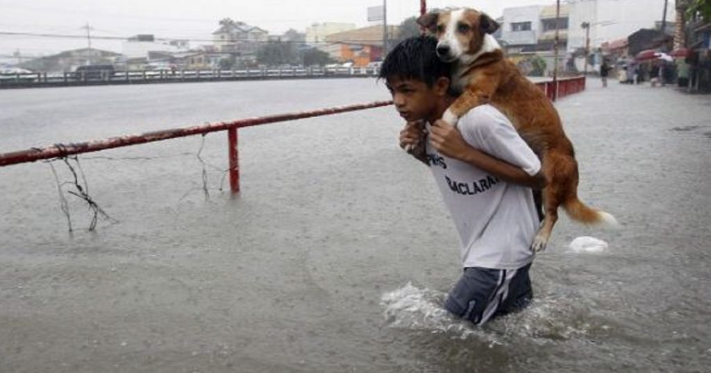 English Work-Tommy Paradise by Tommy Paradise - Illustrated by Tommy - Ourboox.com