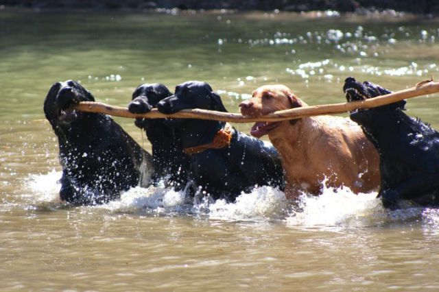 Count That Day Lost by gilad - Ourboox.com