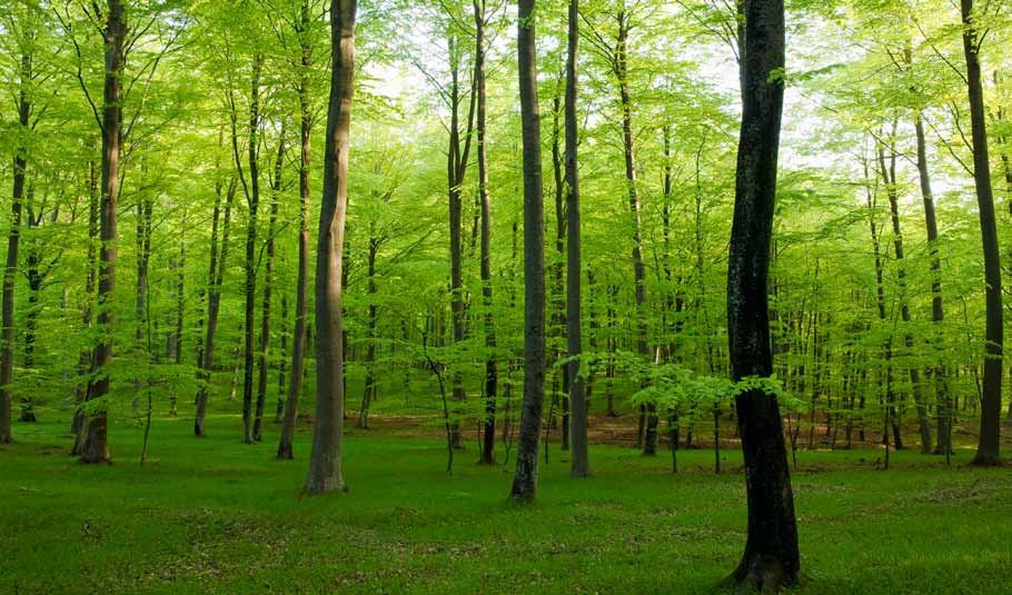 החורף הקר by joni - Illustrated by יהונתן ריווני - Ourboox.com