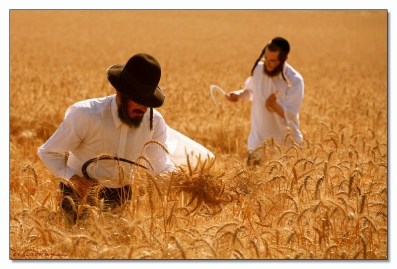 החורף הקר by joni - Illustrated by יהונתן ריווני - Ourboox.com