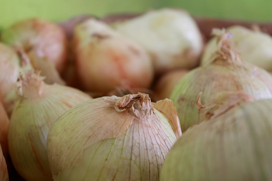 עבודת חקר בצילומי מזון by NOA FIMA - Illustrated by נועה פימה - Ourboox.com