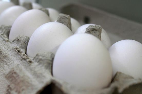 עבודת חקר בצילומי מזון by NOA FIMA - Illustrated by נועה פימה - Ourboox.com