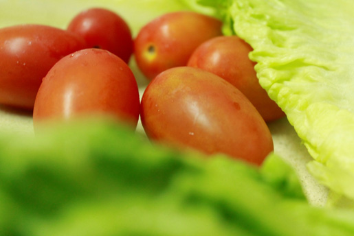 עבודת חקר בצילומי מזון by NOA FIMA - Illustrated by נועה פימה - Ourboox.com