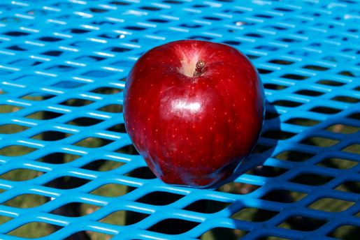 עבודת חקר בצילומי מזון by NOA FIMA - Illustrated by נועה פימה - Ourboox.com