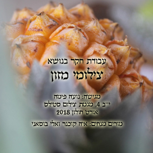 עבודת חקר בצילומי מזון by NOA FIMA - Illustrated by נועה פימה - Ourboox.com