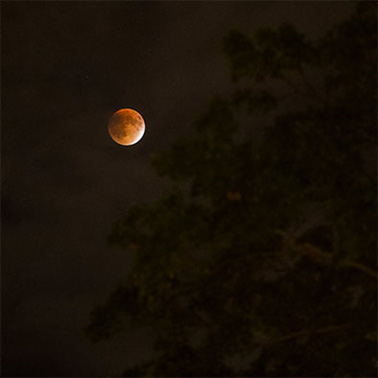 עבודת חקר בצילום קומפוזיציה by yuval lilinsteren - Illustrated by יובל לילינשטרן  - Ourboox.com