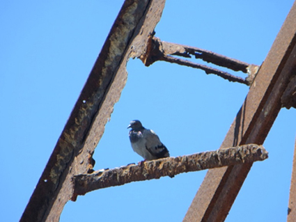 עבודת חקר בצילום קומפוזיציה by yuval lilinsteren - Illustrated by יובל לילינשטרן  - Ourboox.com