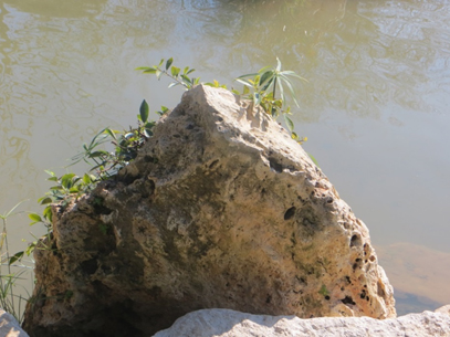 עבודת חקר בצילום קומפוזיציה by yuval lilinsteren - Illustrated by יובל לילינשטרן  - Ourboox.com