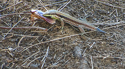 עבודת חקר בצילום קומפוזיציה by yuval lilinsteren - Illustrated by יובל לילינשטרן  - Ourboox.com