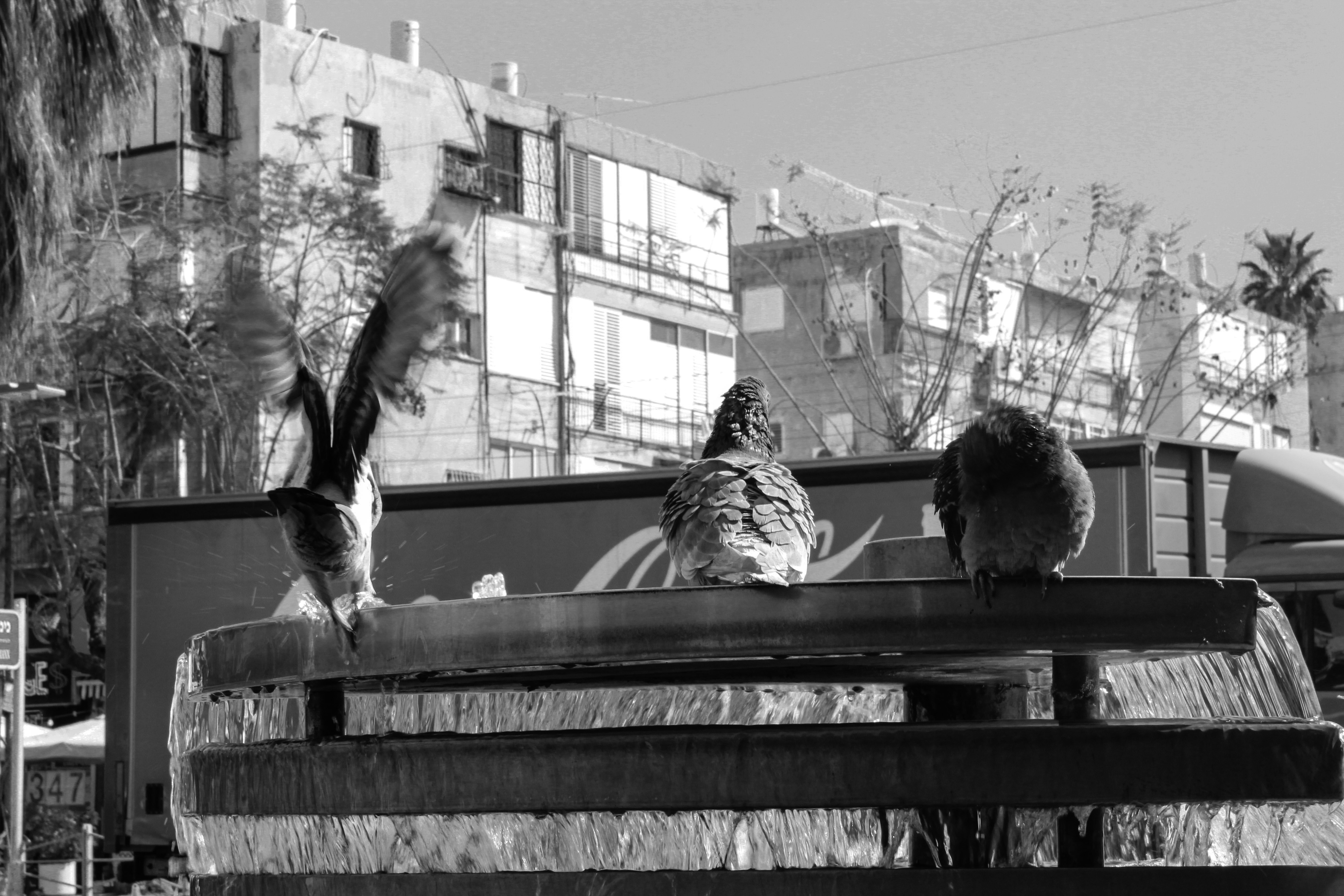 פרויקט בצילום – צילומי רחוב by eliadK - Illustrated by אליעד קיטייב - Ourboox.com