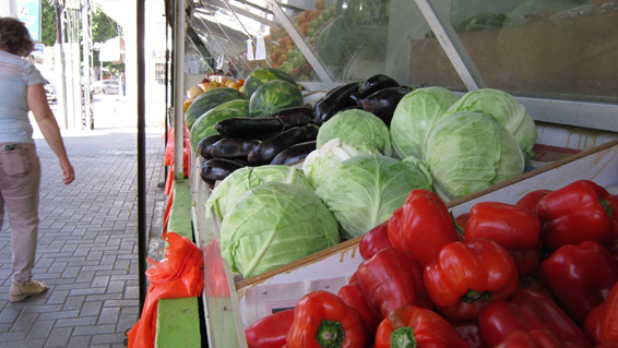 עבודת חקר בנושא צילומי רחוב by NOA ATIA - Illustrated by נועה עטיה - Ourboox.com