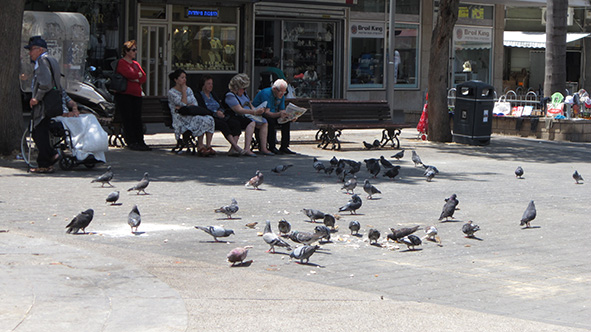 עבודת חקר בנושא צילומי רחוב by NOA ATIA - Illustrated by נועה עטיה - Ourboox.com