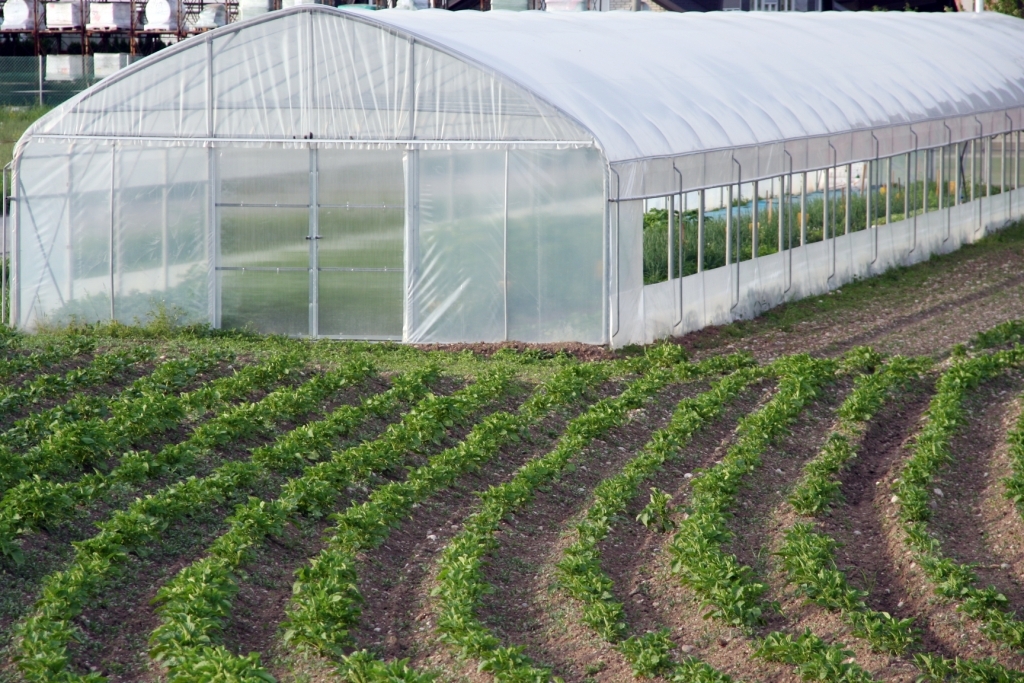 החורף הקר by joni - Illustrated by יהונתן ריווני - Ourboox.com