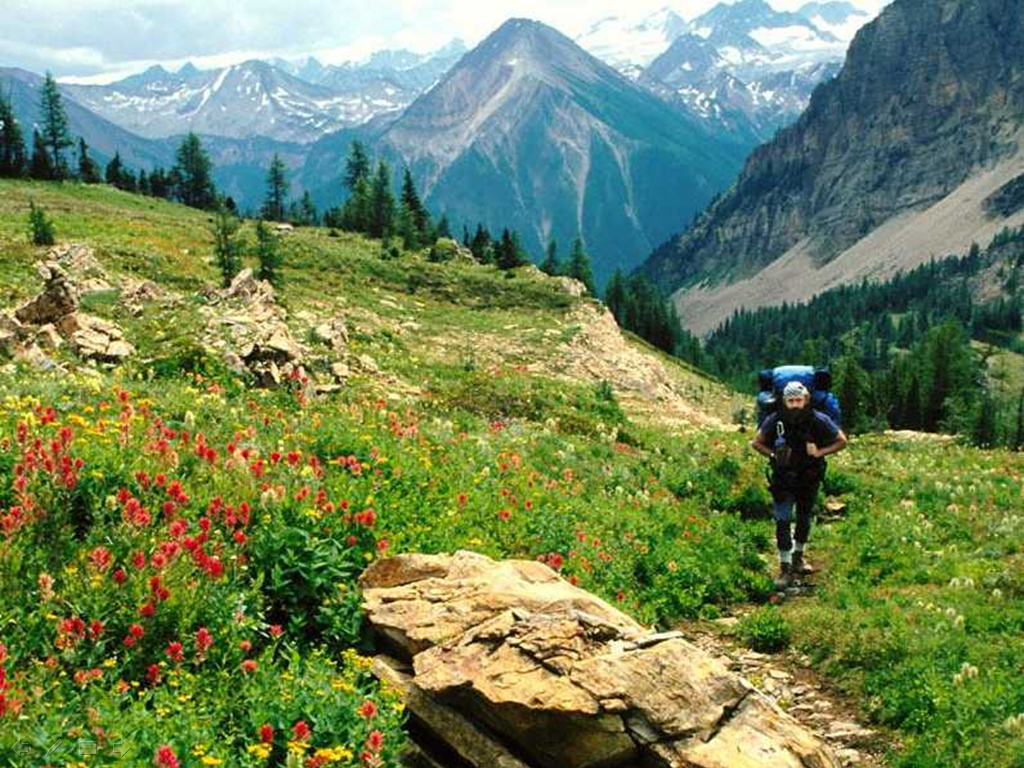 מיזוג אויר בסיסי by haim - Ourboox.com