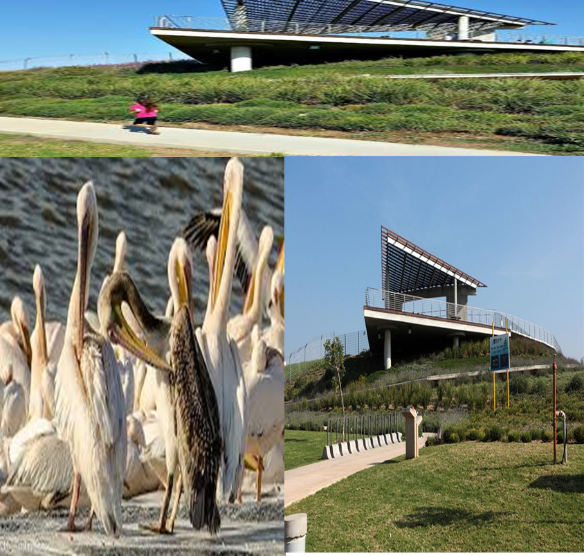 ג’2 מטיילים ברחבי ישראל by Batia Cohen - Ourboox.com