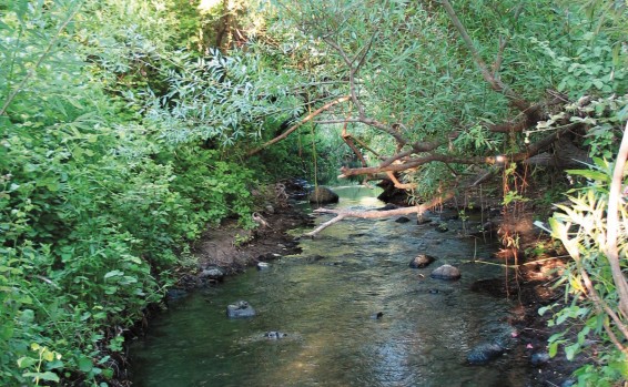 ג’2 מטיילים ברחבי ישראל by Batia Cohen - Ourboox.com