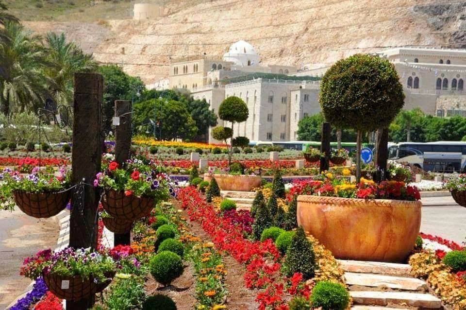 سيدنا النبي شعيب عليه السلام by Yarin Mansour - Ourboox.com