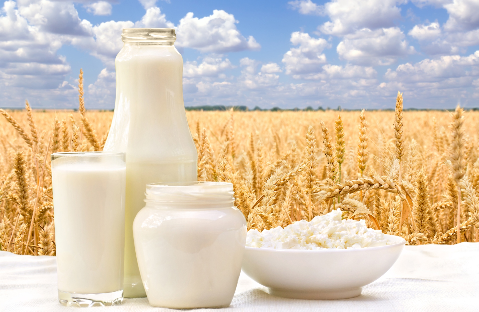 חג שבועות by shirly nahum - Illustrated by שירלי נחום - Ourboox.com