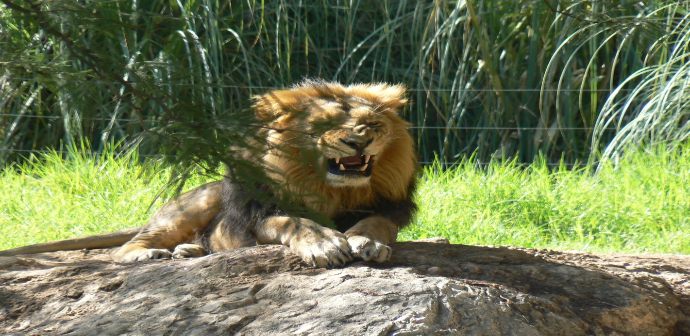 ג’2 מטיילים ברחבי ישראל by Batia Cohen - Ourboox.com
