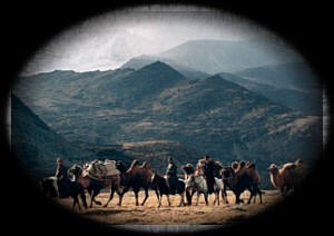 עבודה בהיסטוריה – אנשים זה כל הסיפור – מרקו פולו by ofir - Illustrated by אופיר נויברג - Ourboox.com