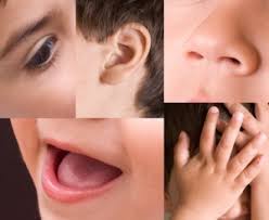 ויסות חושי אצל ילדים by Nagma wattad - Ourboox.com