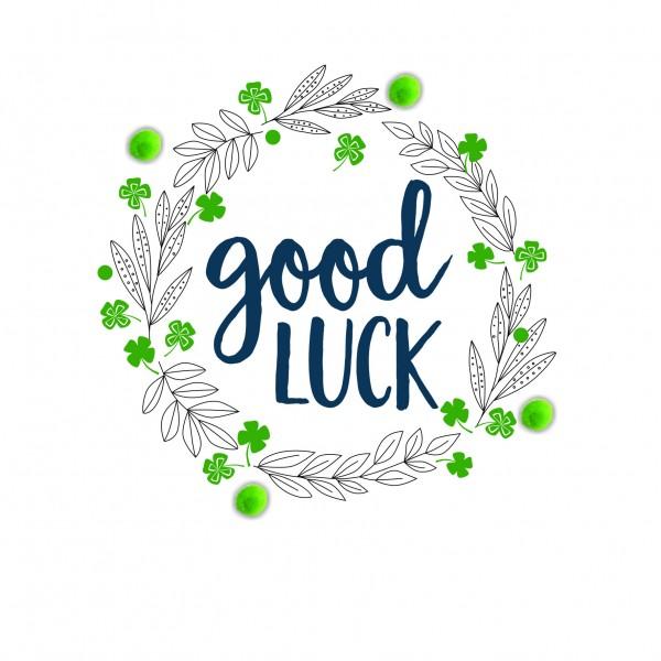 First English words – מילים ראשונות באנגלית by beata - Illustrated by beata berdichevsy - Ourboox.com