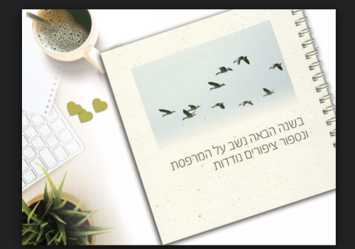 בשנה הבאה/ מילים: אהוד מנור, לחן: נורית הירש by נעם לוי - Ourboox.com