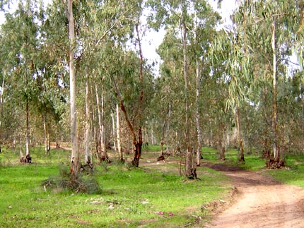 כיתה ג4 by sivanatbarian - Ourboox.com