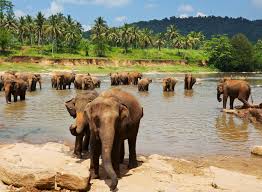 כיתה ג4 by sivanatbarian - Ourboox.com