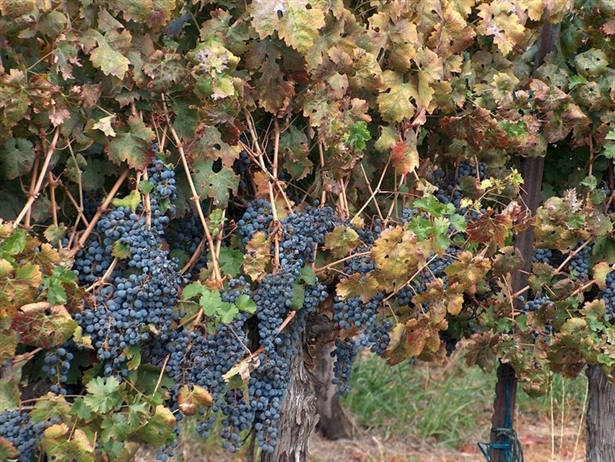 כיתה ג4 by sivanatbarian - Ourboox.com