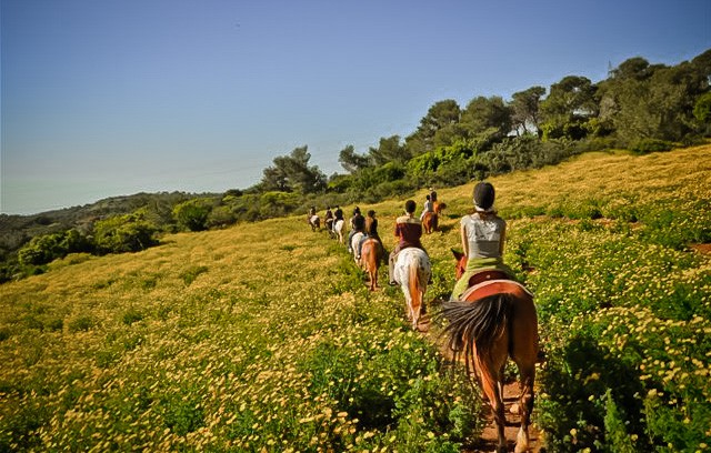 כיתה ג4 by sivanatbarian - Ourboox.com