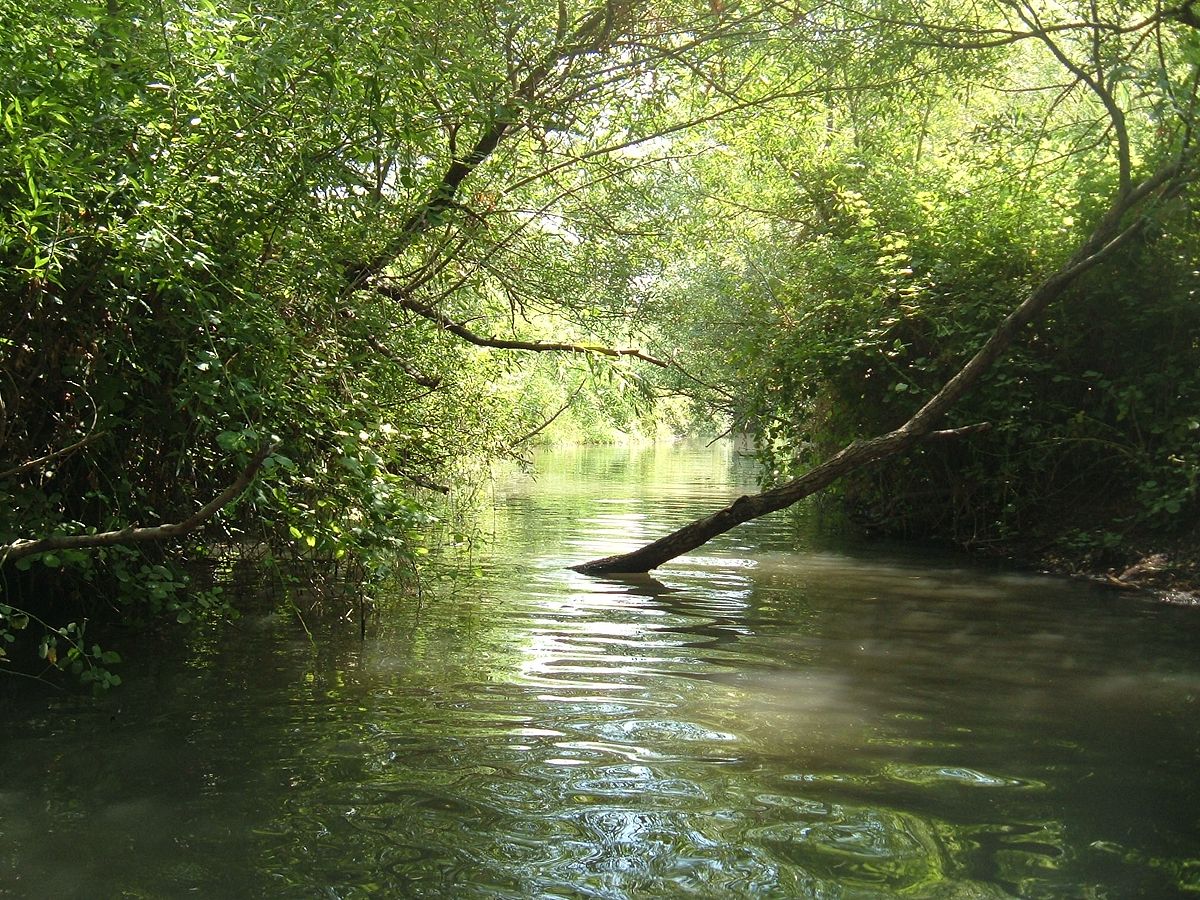 טיול שנתי רמת הגולן -שכבת י’א by adi tachman - Ourboox.com