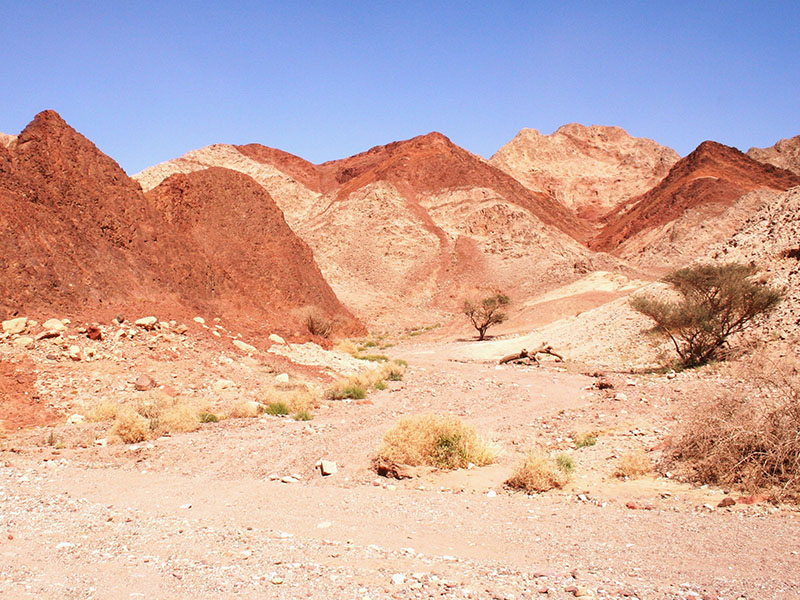 טיול שנתי שכבת י’ב תיכון בן גוריון. by raz rimoni - Illustrated by שני בלסיאנו ורז רימוני - Ourboox.com