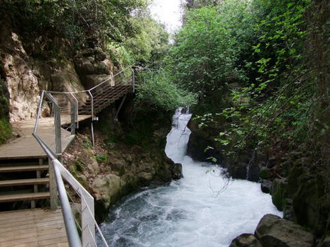 טיול שנתי רמת הגולן -שכבת י’א by adi tachman - Ourboox.com