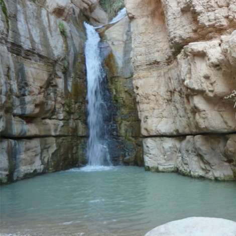 טיול שנתי שכבת י’ב תיכון בן גוריון. by raz rimoni - Illustrated by שני בלסיאנו ורז רימוני - Ourboox.com