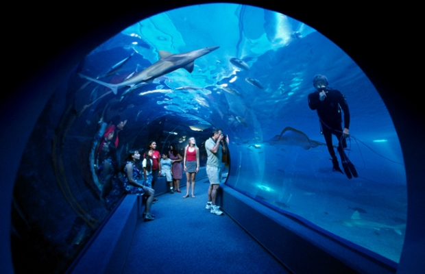 טיול שנתי שכבת י’ב תיכון בן גוריון. by raz rimoni - Illustrated by שני בלסיאנו ורז רימוני - Ourboox.com