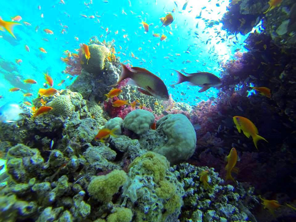 טיול שנתי שכבת י’ב תיכון בן גוריון. by raz rimoni - Illustrated by שני בלסיאנו ורז רימוני - Ourboox.com