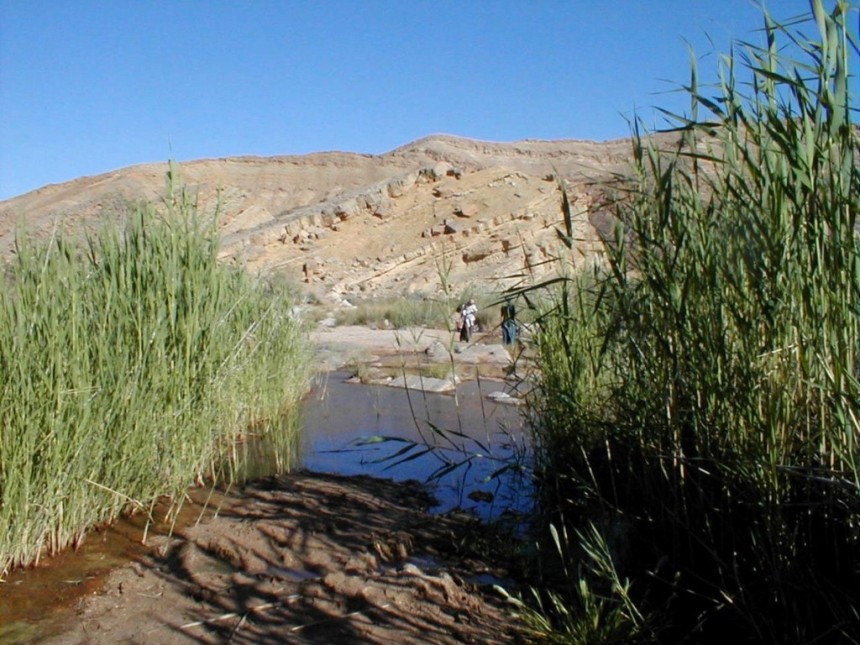 מסע ישראלי by maya sevilia - Ourboox.com