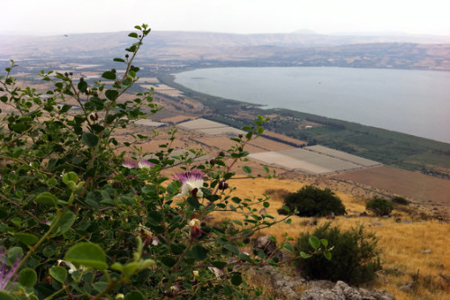 דרום רמת הגולן , הכנרת ואזור הגליל העליון by adi dadon - Ourboox.com