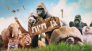 גן חיות – סינה by sina - Ourboox.com