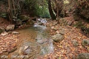 אנו נצא לטיול שנתי בתאריכים 18-21.11.18. הטיול מתקיים באזור הגליל העליון. אנו נטייל בנחלים, שמורות טבע, אטרקציות ומלא הפתעות. ביום הראשון יש להצטייד באוכל, 3 ליטר מים, נעליי הליכה ולבוש אולם. יש להגיע עם אישור הורים, תלמיד שלא יגיע עם אישור זה לא יכול לצאת לטיול. טיול מהנה, אוהבים צוות ההנהלה : by shir cohen - Ourboox.com