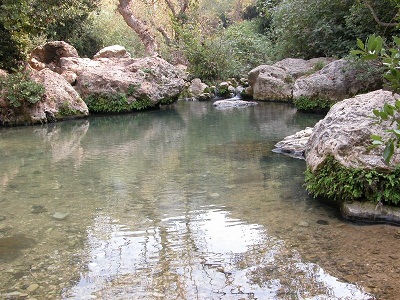 טיול שנתי by tal petel - Ourboox.com